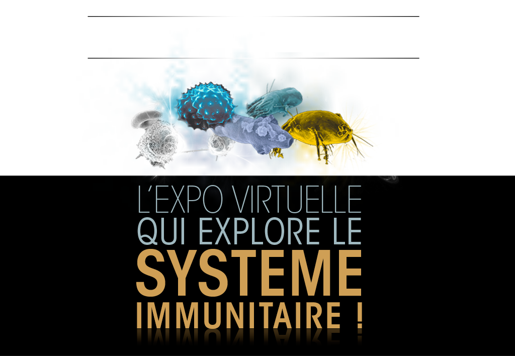 L’expo virtuelle qui explore le système immunitaire