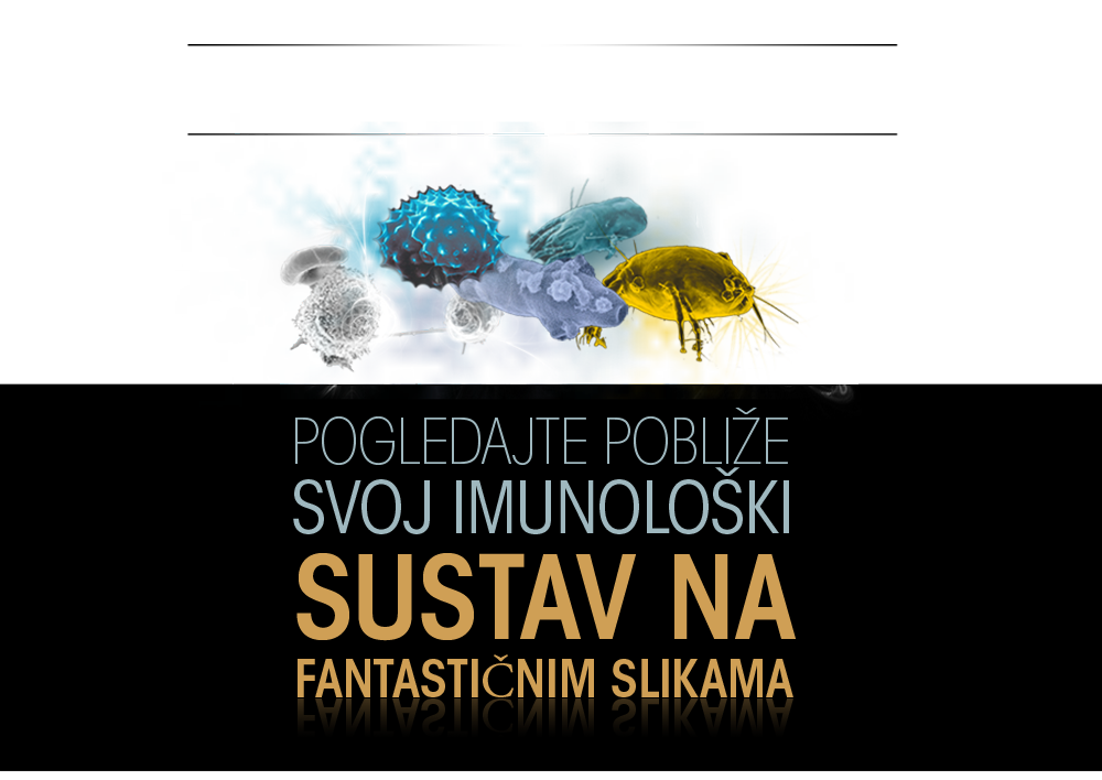 Pogledajte Pobliže Svoj Imunološki sustav na Fantastičnim Slikama